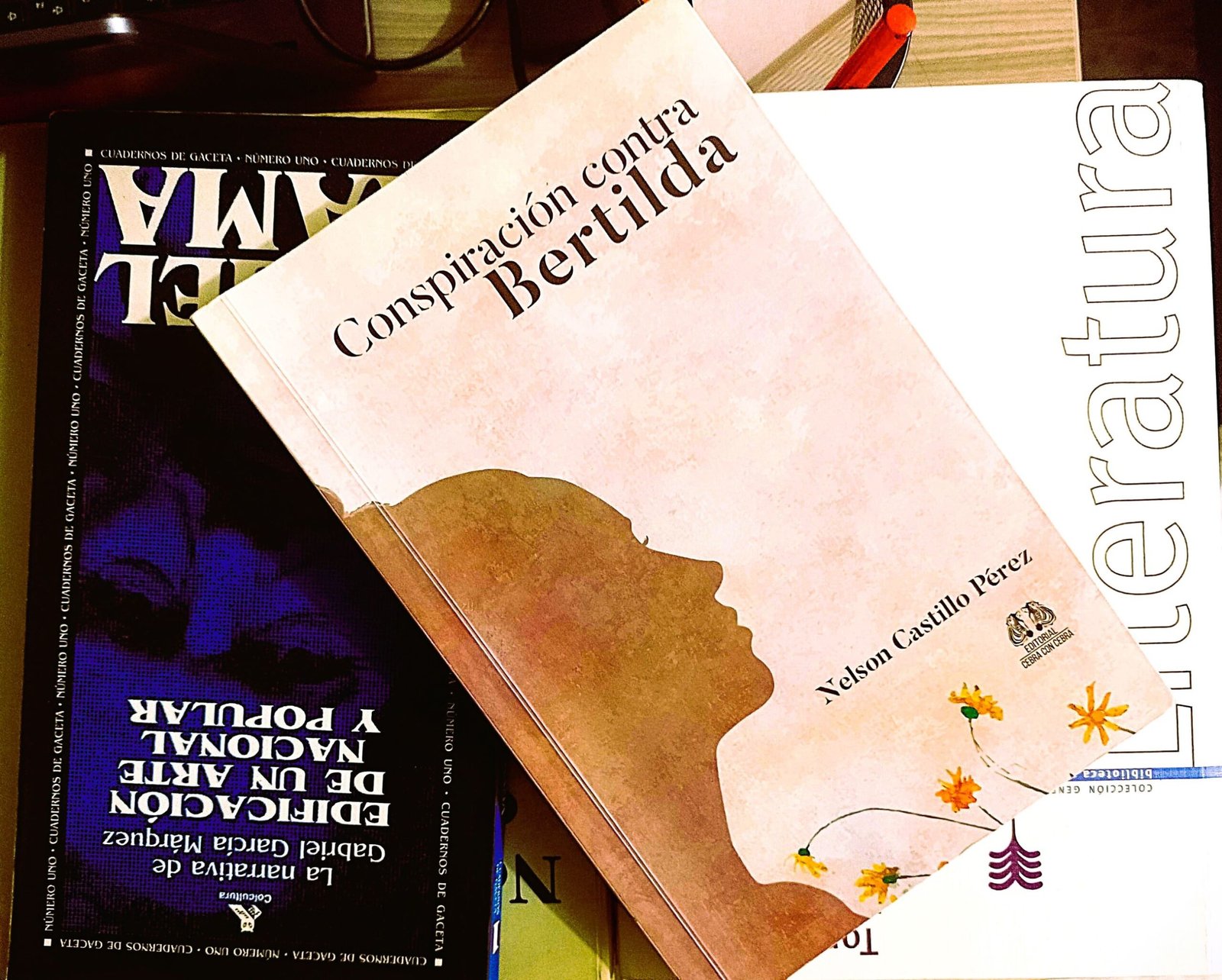 Conspiración contra Bertilda: en busca de la palabra precisa